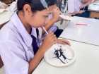 กิจกรรมศิลปะการวาดหมึกจีน สำหรับนักเรียนชั้น ม.2 Image 19